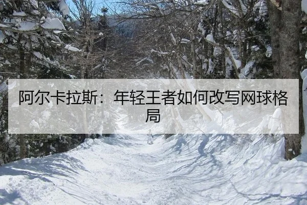阿尔卡拉斯：年轻王者如何改写网球格局